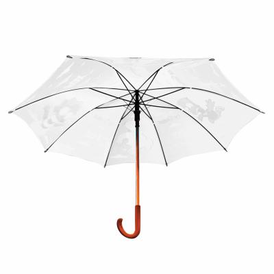 Guarda Chuva